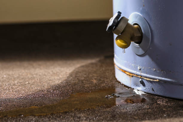 Best Sewage cleanup and water damage restoration  in Newark, NJ