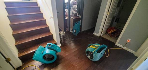 Best Flood damage cleanup  in Newark, NJ