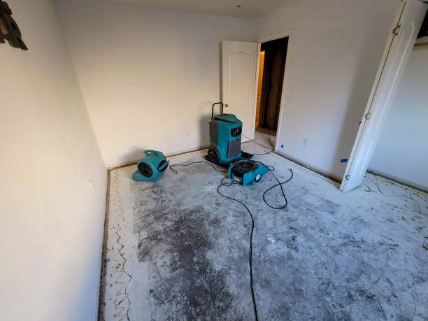 Best Water damage restoration near me  in Newark, NJ