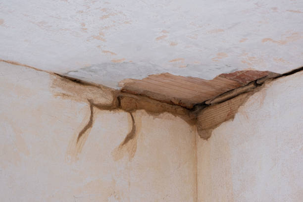 Best Water damage repair service  in Newark, NJ