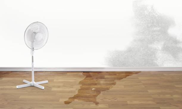 Best Residential water damage restoration  in Newark, NJ