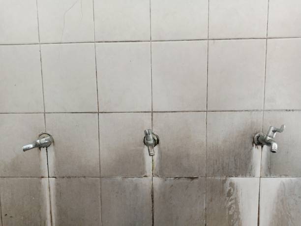 Best Flood restoration services  in Newark, NJ