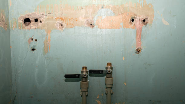 Best Local water damage restoration  in Newark, NJ