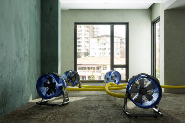 Best Ceiling water damage repair  in Newark, NJ